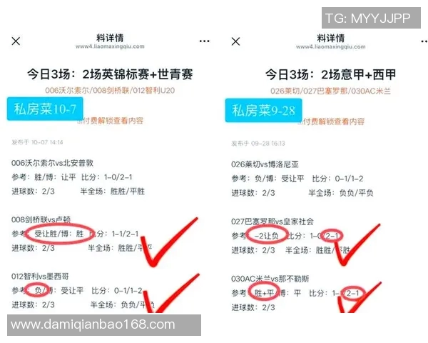 纽卡斯尔与布莱顿激战在即谁能在英超赛场上笑到最后