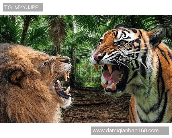 阿特拉斯与老虎大学的精彩对决揭示了体育竞技的无限魅力与团队精神